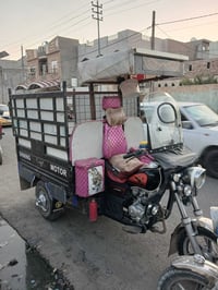 ستوته • موديل ٢١ • اوراق اصوليه