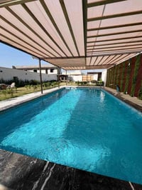 مزرعة الطيب 🌱 متوفر  اليوم الاربعاء شفت صباحي  والخميس  وجميع ايام الا...