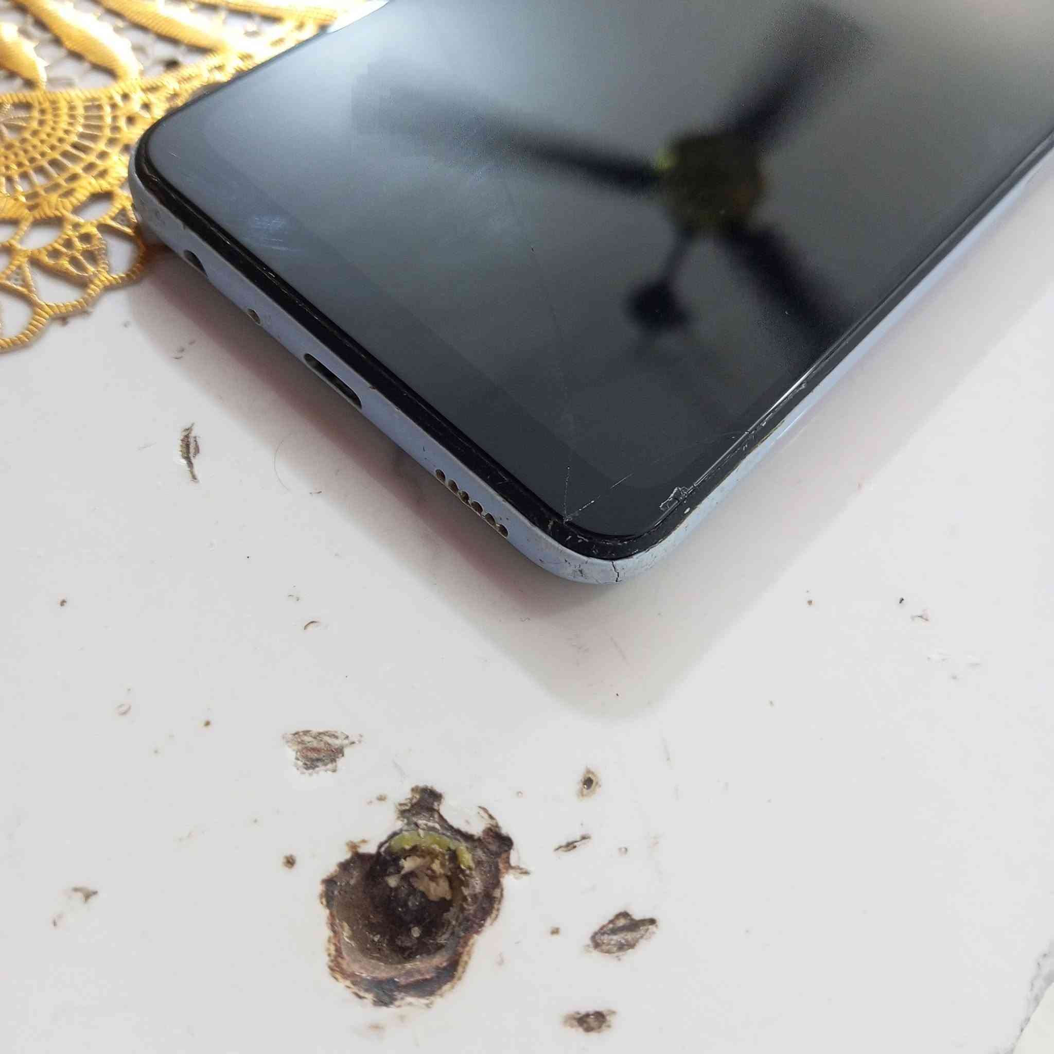 السلام عليكم سامسونك لبيع جهاز شغال لمسه يخبل ذاكره 128جهاز تكنيك صوت مخابره العاب خير من الله شرط الفحص يدعم خطين ورام ويدعم الشحن السريع شحنه تابسي سعره 100مكان الكوت ملاحضه (بي فطر قليل وناعم ماماثر ع لمس ابد وماامثر)

نص مكتوب في الصور:
- حول الهاتف Galaxy A13 تعديل رقم الهاتف غير معروف اسم المنتج Galaxy A13 اسم الطراز SM-A135F/DS الرقم التسلسلي R58T30F94GL (الفتحة 1) IMEI 352192667066582 (الفتحة 2) IMEI 353383127066580 معلومات الحالة معلومات قانونية معلومات البرنامج معلومات البطارية هل تبحث عن شيء آخر؟ تحديث البرنامج