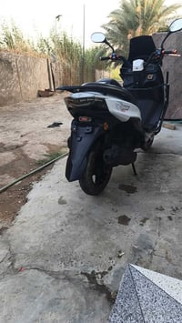 سترونك • ٢٠٢٤ • مكفولة