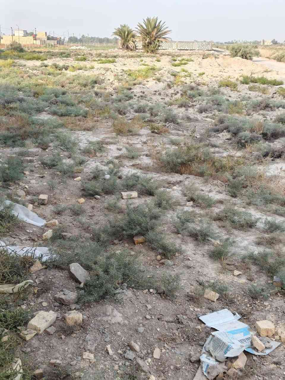 طابو زراعي • سند ٢٥ • قرب مشتل نيبور