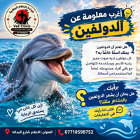 عيادة بيطرية • الاعلام شارع البداله • رعاية حيوانات