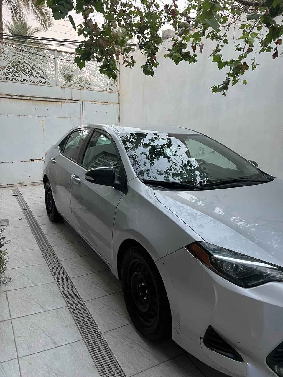 كورلا EL • ٢٠١٩ • قطعه صبغ