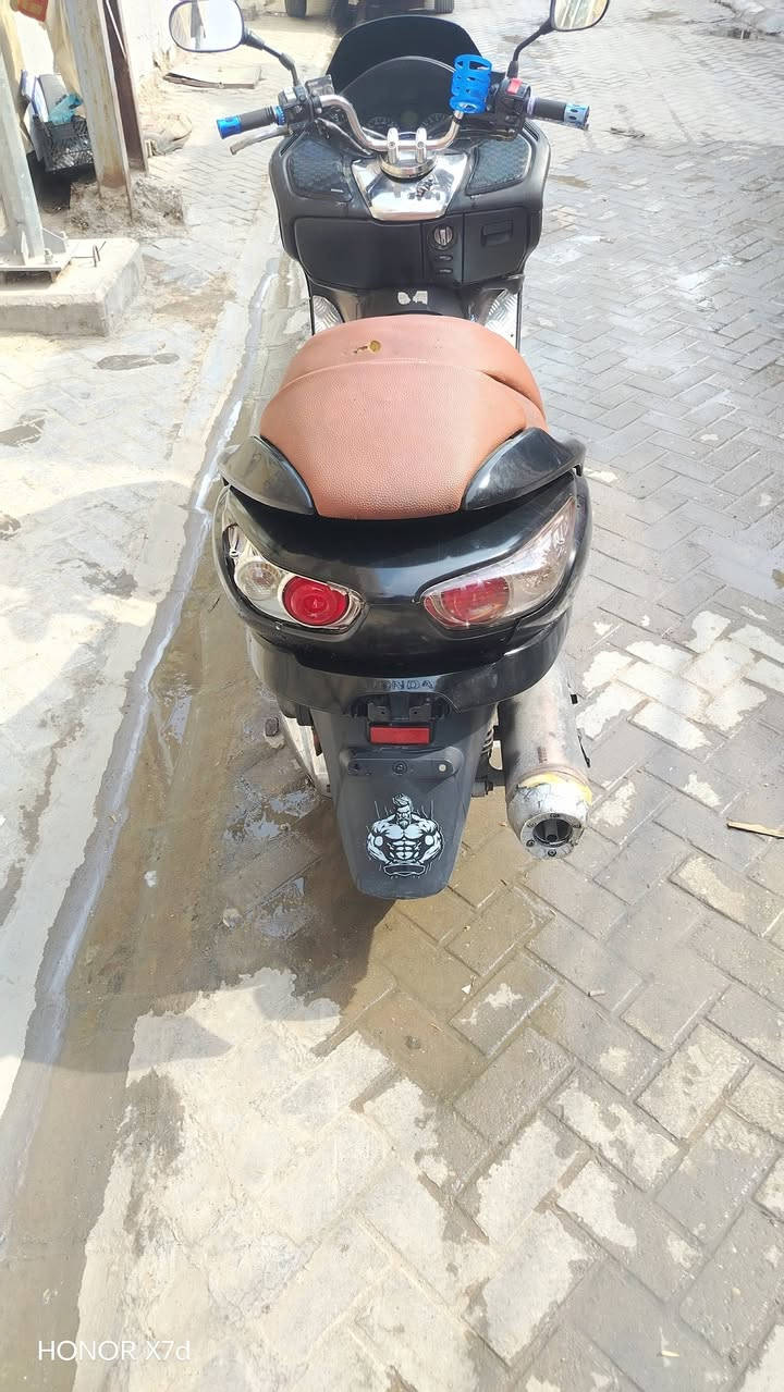 فورزة • معدل • اوراق