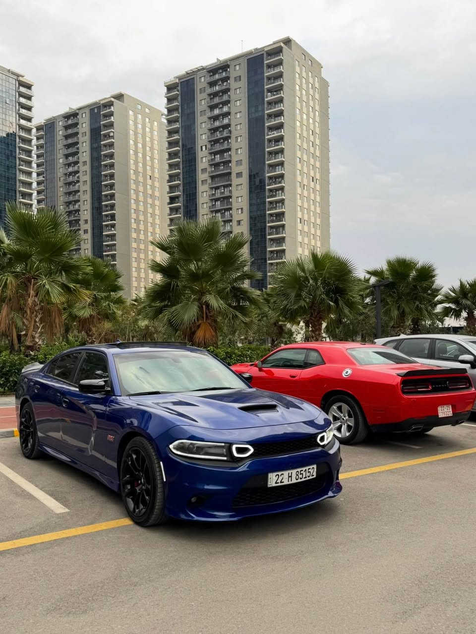 الوحش الامريكي
Dodge charger Scat Pack 2021
دودج جارجر سكات باك 2021
ارخص سكات كلين بالعراق
سعر السيارة 27,000$ يعني دفترين وسبعين ورقة وبي مجال بسيط سعر البلاش
مواصفات سكات باك
بصمة
الكاميرا الخلفية
مصابيح زينون الأمامية
مقاعد تدفئة
شاشة بيرفورمانس
شاشة
التشغيل عن بعد
V8 392 (6.4)Engine 4 *
102,000 ميل ماشية
السيارة كلش نظيفة ومرتبة
السيارة كلين بس دعامية امامية صبغ الباقي كفالة عاااامة سعر كلش مناسب
العنوان دهوك
***********
*********** Leimuiden, ZH
