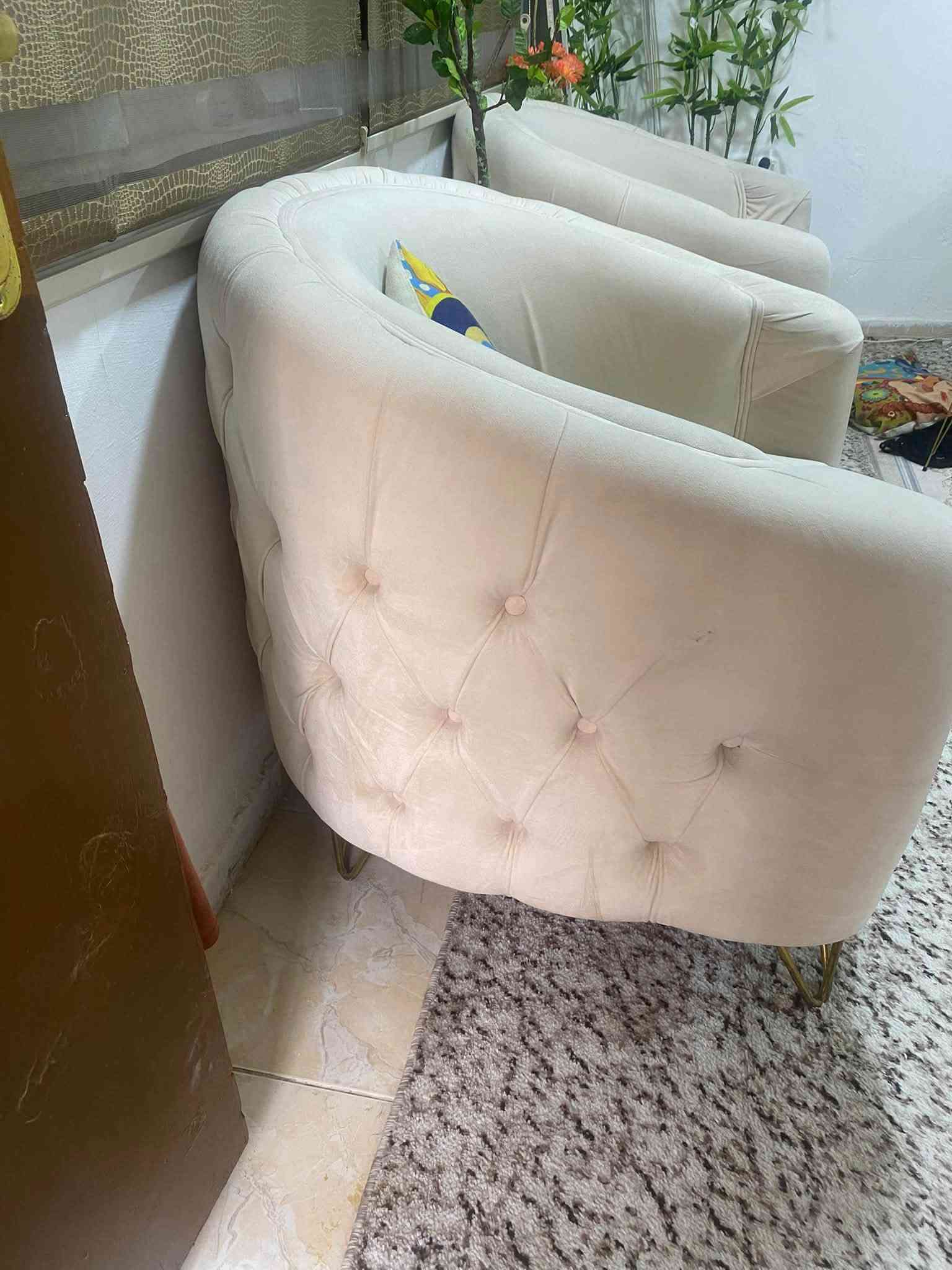 قنفات • نظيف • ١٠ نفرات
