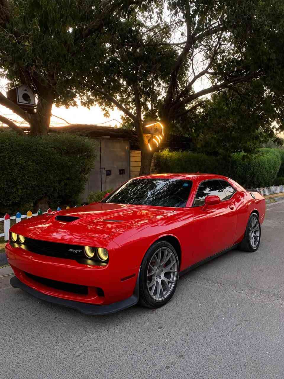 السلام عليكم 

جالنجر sxt2016 

محدث كامل هلكات 

ماشية 160 الف 

رقم بغداد بسمي 

بيها قطعة صبغ

رايدها ب ب ١٣٠ ورقه 

مكاني بغداد كرخ 

***********  

 سياره جاهزه من كلشي
