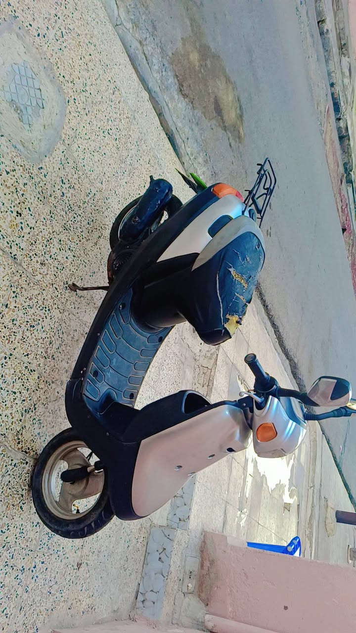 السلام عليكم ماطور بوتين للبيع الماطور في حالة جيدة وكلو كدام العين والسعر 250 الف
***********
***********
