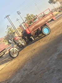 ستوته • كلك • مكفولة سرقه