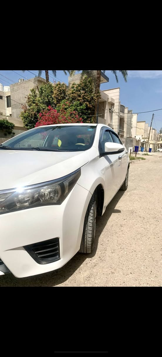 كورلا • ٢٠١٥ • بدون صبغ
