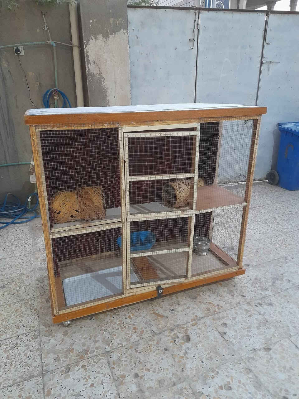 قفص • الزبير • البصرة
