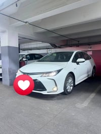 كورلا هايبرد • ٢٠٢٥ • رقم بغداد
