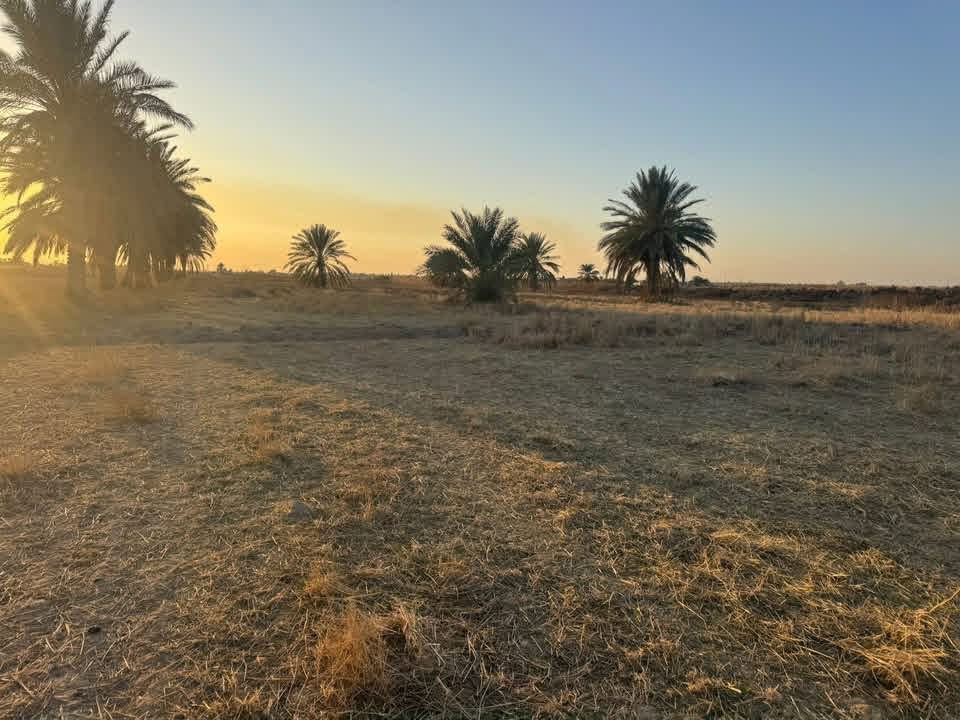 عروض اليوم بلاش
سلام عليكم ارض طابو سند 25 للبيع المساحه30  دونم سند مستقل بأسم شخص  يباع جزء منهه  الارض مكانه حلوه يوجد فيه كهرباء+ماء وكافّة الخدمات تصلح مجمع سكني او شاليات العنوان طريق كربله نجف طريق مفرك الكفل عمود 350 ام نعجه 
استفسار.   ‭***********

