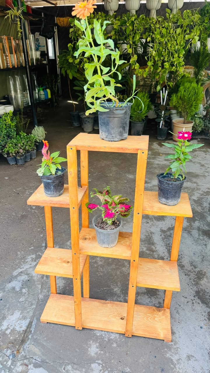 مسـواك جديد بفظل الله 🌹🔥🧑‍🌾
توفر جميع أنواع زرع خارجي داخلي 🌸🌳♥️🔥

عروض جوه سوك لي عليك توصي يوصل طلبك باب بيت 🧑‍🌾

للستفسار ***********
