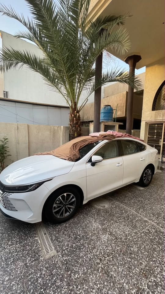 دستروير
2026 

زيرو. صفر. سياره. بدون رقم 

اخذتهه. ضميتهه كبل بل بيت مطالع بيهه. باب 

جديده.  فتحه. سياره.  

سعر 22و 800 

عنوان. بغداد 

***********

