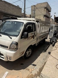 كيا فحل • ماشية ٦٠٠٠٠ • بغداد الشعلة