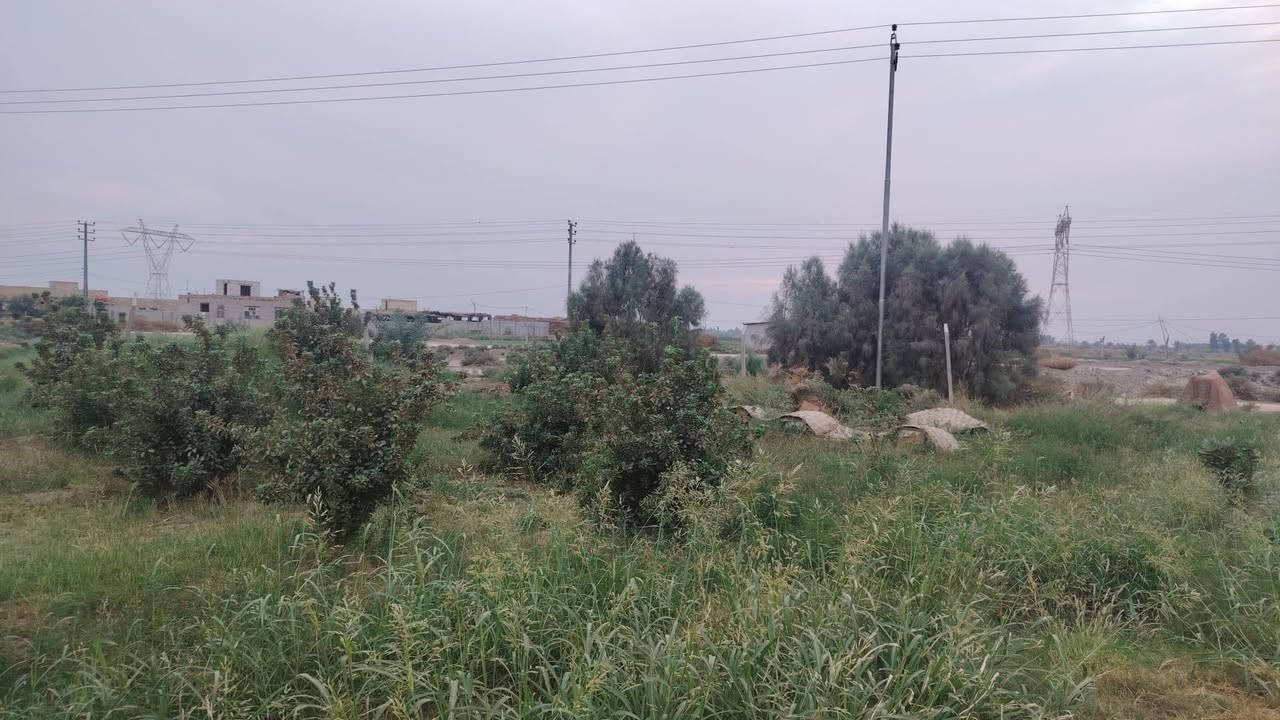 بستان • ٦دوانم • شط الصب