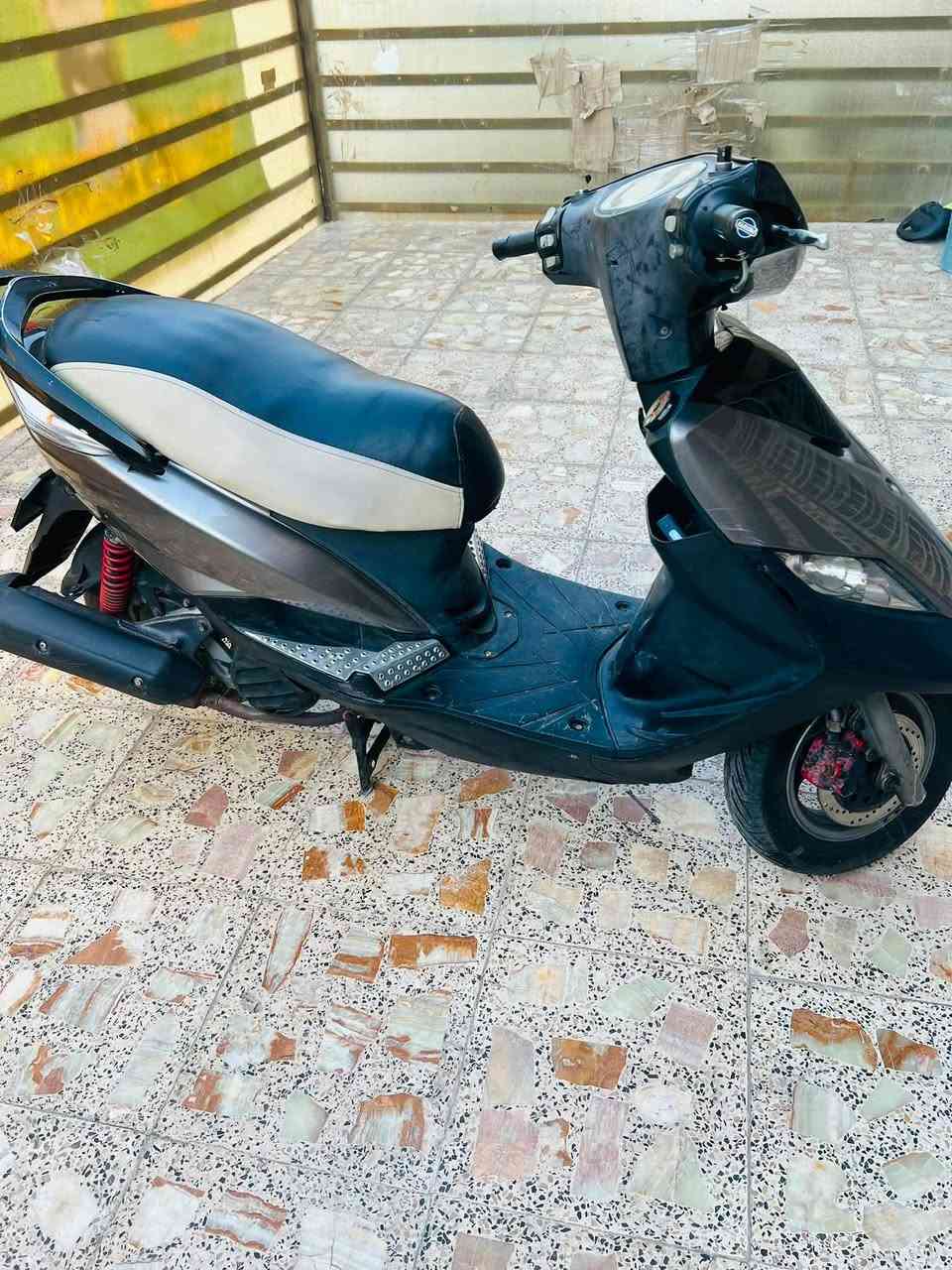 من رخصت الادمن
ماكس ثعلب مال رمبة سالها 3 اشهر من نازلة 
مكينة ناعمة الدراجة من التاير للتاير مكفول والدراجة مثل ما واضحة بل صوره مرتبة ونضيعة كلشي بيها شغال السعر 750 مكاني بغداد حي العامل الرقم متواجد واتساب 
***********
