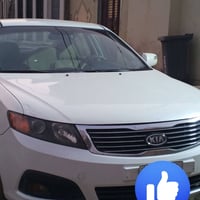 لوتز ٢٠٠٩ • بنزين • صبغ جوه