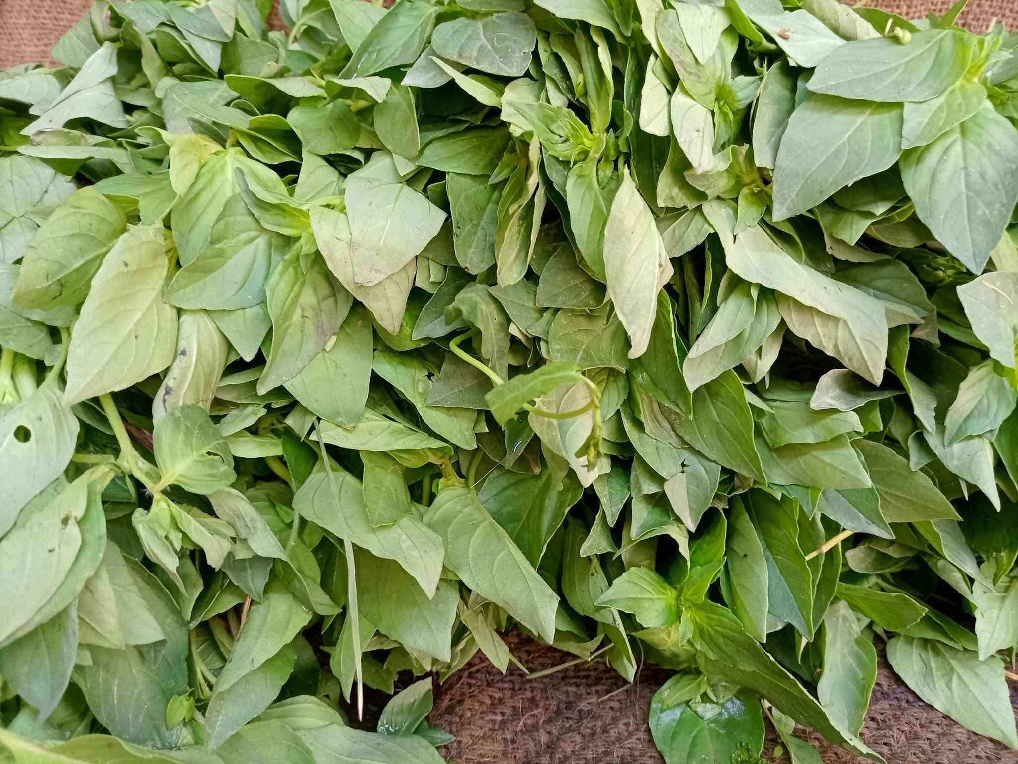 توصيل • دجاج ذبح عراقي • خضراوات
