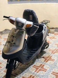 بطة • ٢٠٠٣ • ٦٠