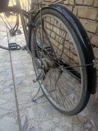 بايسكل • نضيف • بنجر چوب خلفي