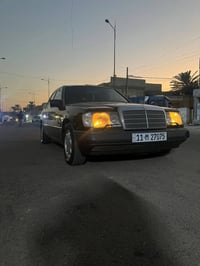 كفالة عامة • صبغ فقط • ١٩٩١