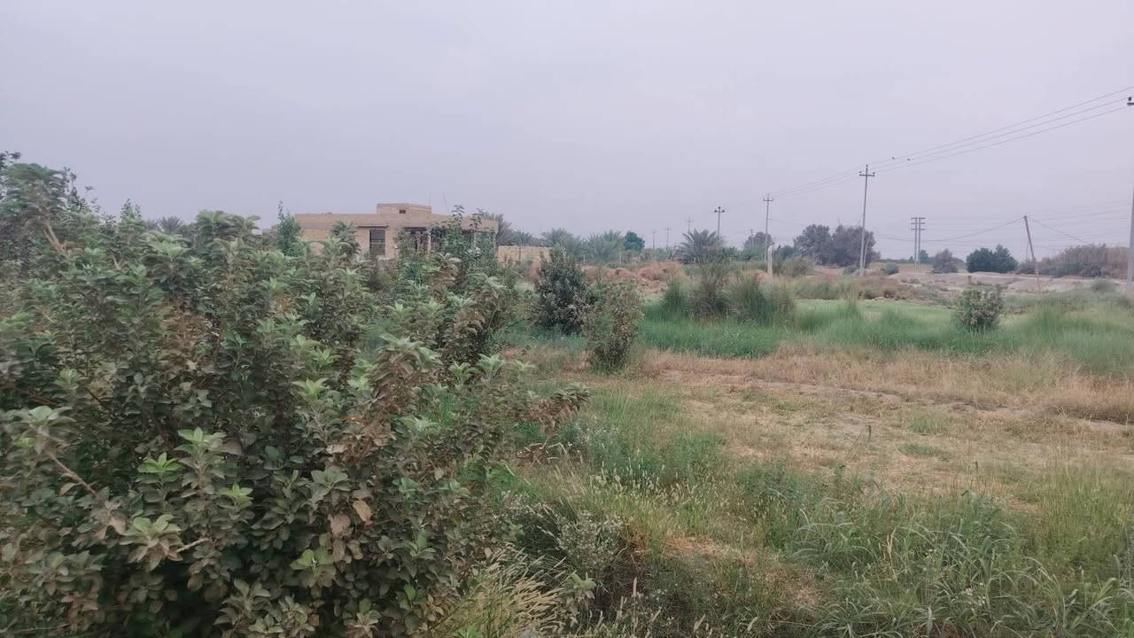 بستان • ٦دوانم • شط الصب