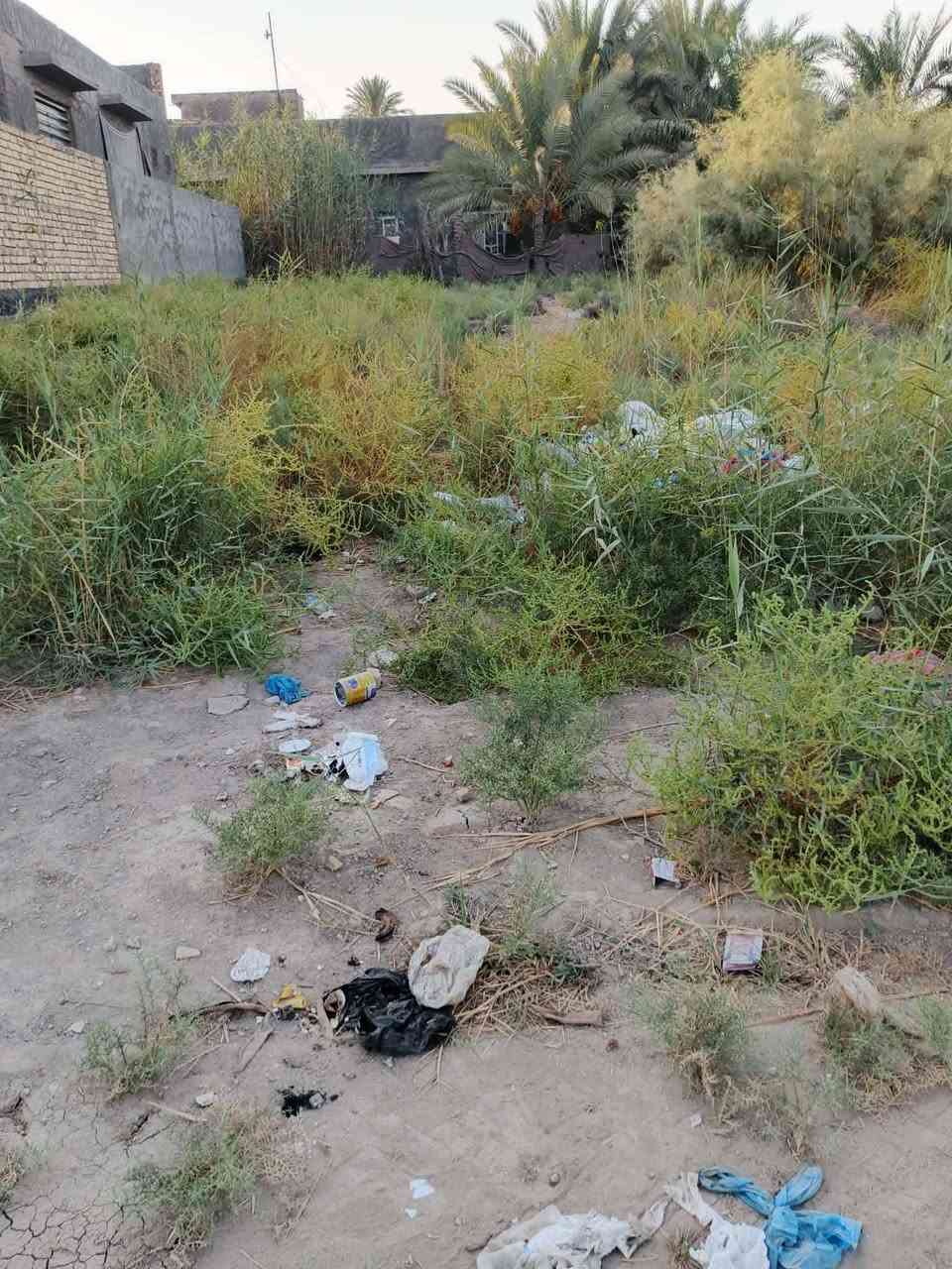 🌳🌺نوع العقار// قطعة زراعية للبيع
🌳🌺جنس العقار// طابو زراعي  سند 25 
🌳🌺 مساحة القطعة 250 متر مربع 

الوجه 10متر 
نزال 25 متر 

🌳🌺 موقع القطعة 
 بابل طريق حله  الديوانية قرب شركة الرنا منطقة الرشيدية تبعد عن الشارع العام 600 متر 
🌳🌺 للإتصال والاستفسار على رقم الهاتف ا التالي واتساب لتواصل  :

***********

بالتوفيق ان شاء الله 
تحياتي للجميع
