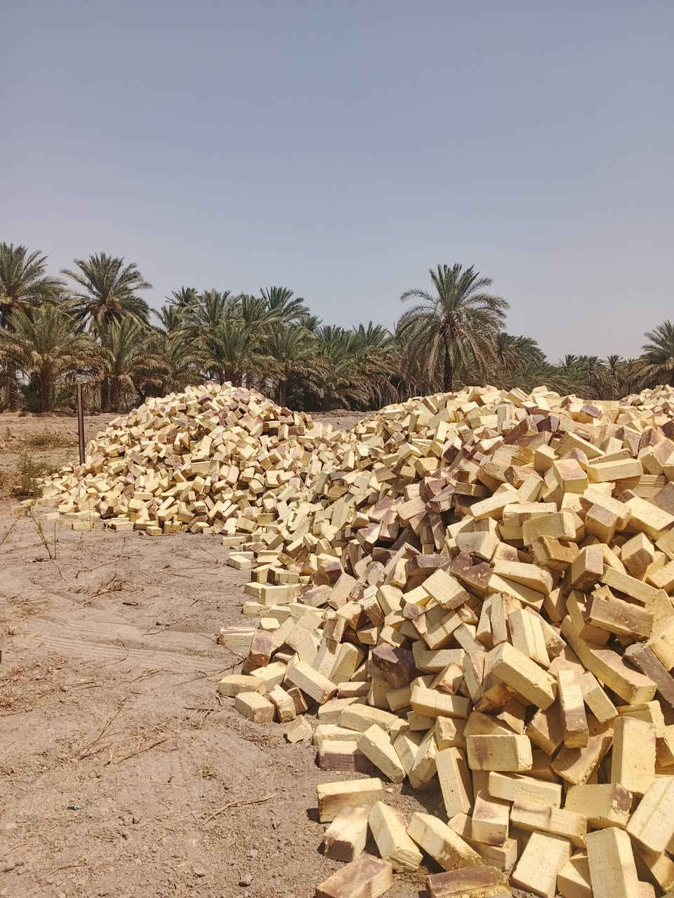 يوجد لدينا انواع الطابوك وانسب الاسعار  واصل🔥🔥
مجمع الشوملي طابوك فول المواصفات 

 طابوكه درجة اؤلى لون وقوه وقالب جبير 

مكفوله شرط المگلاب الاتصال على الرقم

📞***********📞
