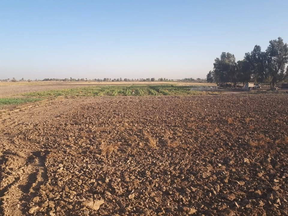 أرض زراعية للبيع ٣٠دونم زبيدي شاخه 24تحتوي على دار سكن مع مضخت ماء صالحه لزراعة تسكي على نهر القائد وعله ازبيدي تبعد عن الشارع ٥قطع مدرسه ابتدائيه ومتوسطه ***********
