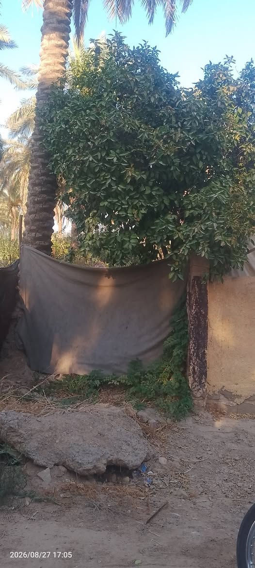 قطعه بيه بيت  للبيع مساحه 400متر وجهيه 18 بيه فرعين تبعد عن شارع 500متر بقضاه حسينينه قرب فنادق بارون طابو حق تصرف بسعر جدا جدا مناسب سعر 206 بيه مجال للتفاوض راغب بل شراء يتصل على رقم ***********او وتساب
