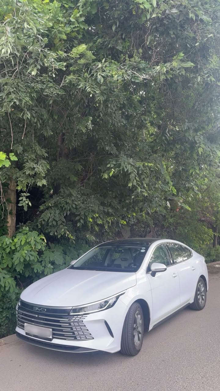بسم الله الرحمن الرحيم 

BYD ( Destroyer 05 ) DM-i 2025 

سەیارەکە زۆر جوان و بێ موشکیلەیە ٣٠،٠٠٠ کم ڕۆیشتوە نیوەی بە بەنزین و نیوە ی بە شحن ، ملاحەزەکی لە بۆنیت و ملاحەزەکی لە چامڵغی پشتەوە ی لای سەکن هەیە 
ئەشیای خۆی کامل لەگەڵ ماوە 
شاشە گەورەیە و بە کارەبایی دەسوڕێ 
ئۆتۆ هۆڵد و برێک بەسمەیە
٥٥ کم بە یەك شەحن دەڕوا ت و ١١٢٥ کم بە یەک تانکی بەنزین 
کوشین سپۆڕتە و ناوی سپی و شینە 
سەیارەیەکی زۆر موریح و بە قوەتە و لە ئێستادا ئاگری 
بازاڕیە

١٤٢ وەرەقە و مەجالەکی برایانە
*********** أربيل, العراق
