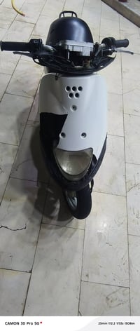منغولي • فحل • ٧سنوات