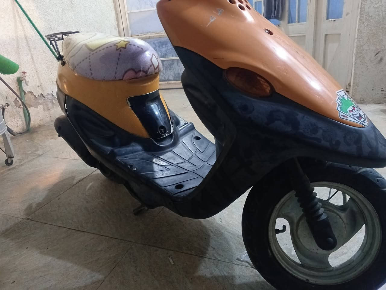 بيجي • شغاله • كوت داموك