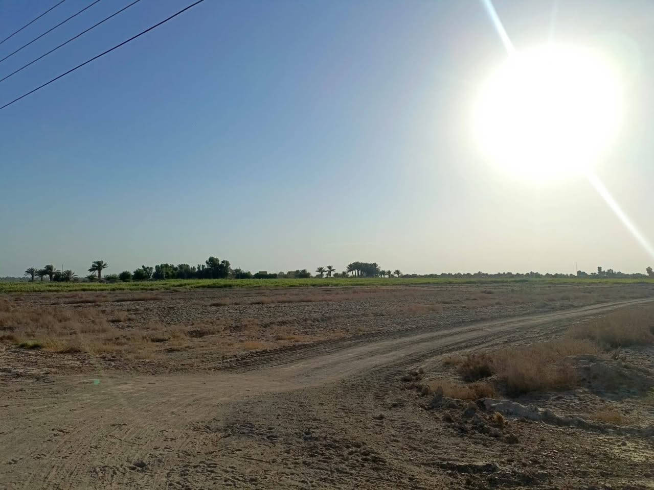 📣 أرض زراعية مميزة للبيع  📣الموقع: محافظة الديوانية - قضاء سومر.طريق السعيد قرب مدرسة الشموس 5 دقائق عن الولايه نوع السند القانوني: عقد 35 زراعي (رسمي وجاهز للتنازل)(15 دونم).الخدمات المتوفرة:🔹 واجهة على شارع تبليط (أسفلت) لسهولة الوصول.🔹 متوفر شبكة ماء إسالة.🔹  كهرباء.نهر مباشر من نهر الاسدل🔹 كافة الخدمات الأساسية متوفرة في المنطقة (موقع حيوي ومخدوم).📌 الأرض مثالية للاستثمار الزراعي، الحيواني، أو كأرض للمستقبل نظراً لتكامل خدماتها.
رقم الهاتف ***********
📣 أرض زراعية مميزة للبيع  📣الموقع: محافظة الديوانية - قضاء سومر.طريق السعيد قرب مدرسة الشموس 5 دقائق عن الولايه نوع السند القانوني: عقد 35 زراعي (رسمي وجاهز للتنازل)(15 دونم).الخدمات المتوفرة:🔹 واجهة على شارع تبليط (أسفلت) لسهولة الوصول.🔹 متوفر شبكة ماء إسالة.🔹  كهرباء.نهر مباشر من نهر الاسدل🔹 كافة الخدمات الأساسية متوفرة في المنطقة (موقع حيوي ومخدوم).📌 الأرض مثالية للاستثمار الزراعي، الحيواني، أو كأرض للمستقبل نظراً لتكامل خدماتها.
