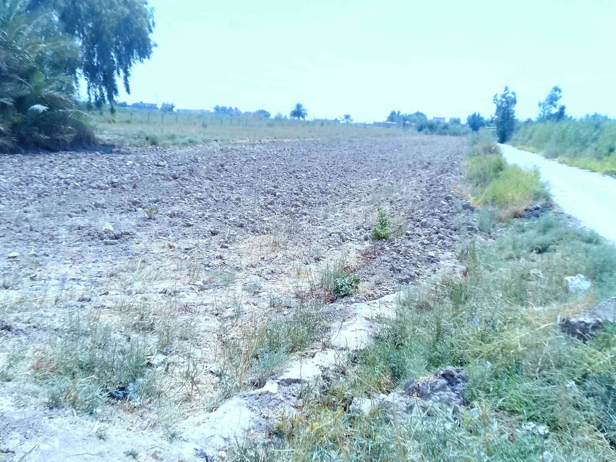 ربيع سلام عليكم أرض للبيع منطقية اليوسفيه مع كافة الخدمات ماء كهرباء سحب ذهبي اساله مدرسه مستوصف ***********
