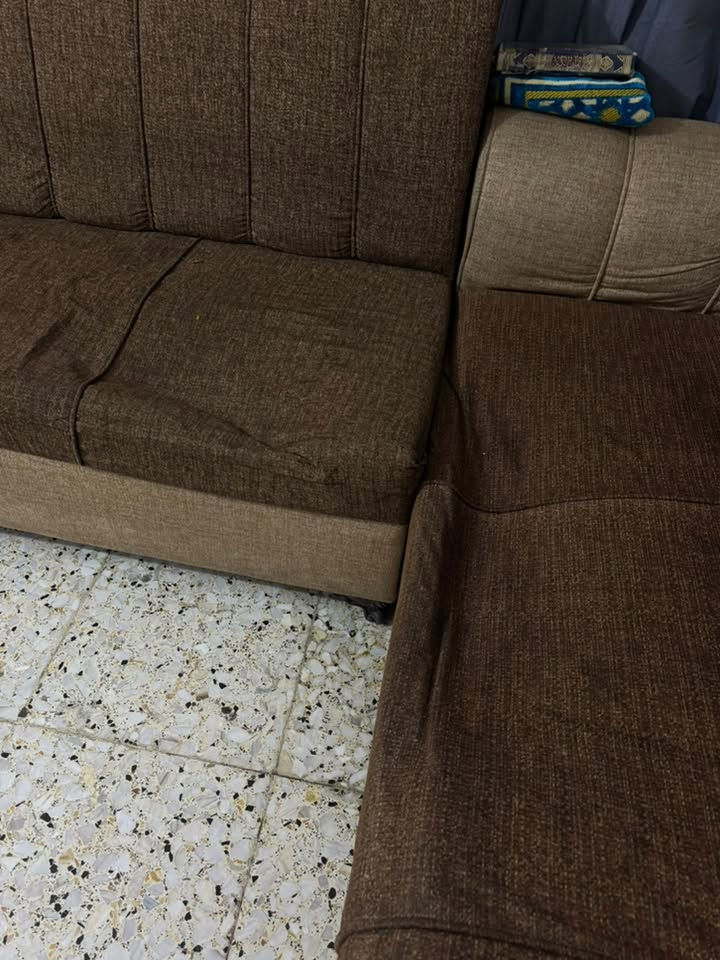 تخم • كنبة • مثل بالصورة