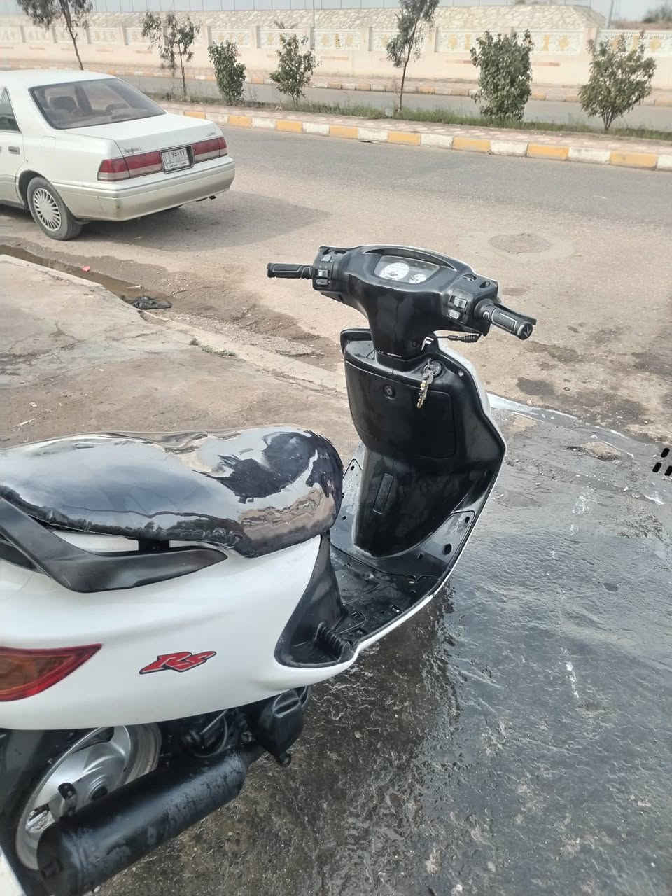 فراشة نثية • مكينه ناعمه • كامله