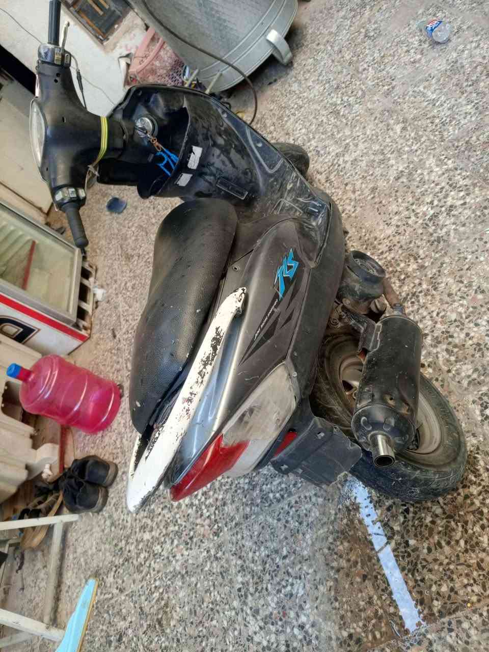 ماكس عدلة • اوراق • بوشه ٥٥