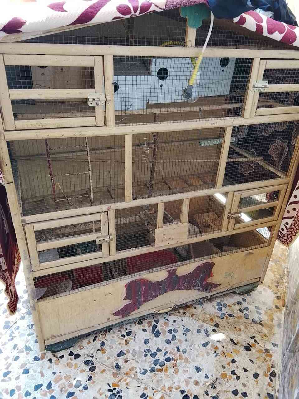 قفص • ٦ بيوت • انارة