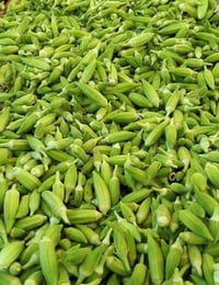 بانيه • درجة أولى • نضافة