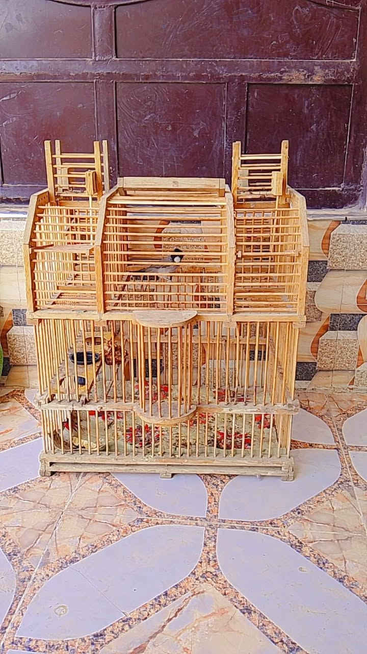 قفص صياد بيه 4 صيادات مفصله تفصال سعر 35 وبيه مجال للشراي (***********)
