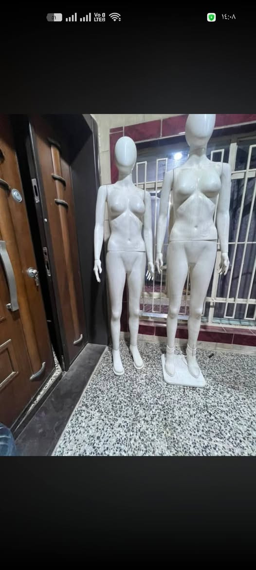 طبلات • رفوف • زعفرانية