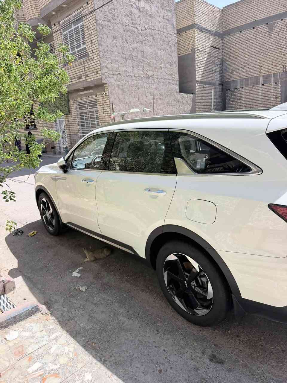 سلام عليكم سورنتو 2024فول بيع مستعجل 
***********
