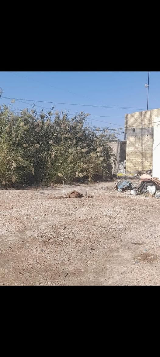 قطعة للبيع بحي النفط زراعي مساحة 200شارع المشتل بيه مكاتبة وقرار محكمة وبيه اساس حجر ابيض ***********
السعر15مليون وبيه مجال بسيط
