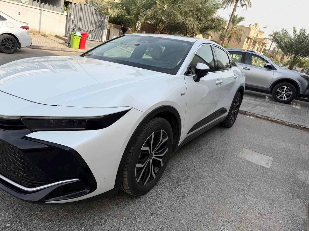 كراون خليجي • ٢٠٢٥ • رقم بغداد