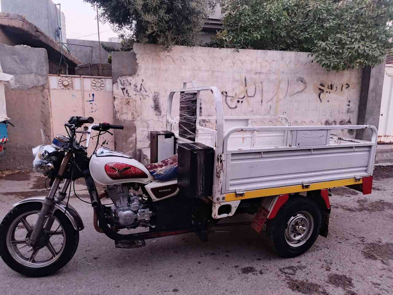 ستوته جمره للبيع فحل ناصي اوراق كامل 5ستوته ابلاديه موديل 19سعر 1225مكان ستوته ديالى جلولاء ***********ركبه شرط
