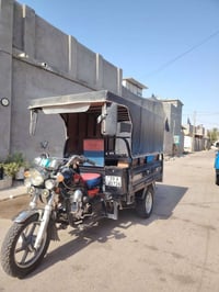 ستوتة • ٢٠٢٢ • كفالة عامة