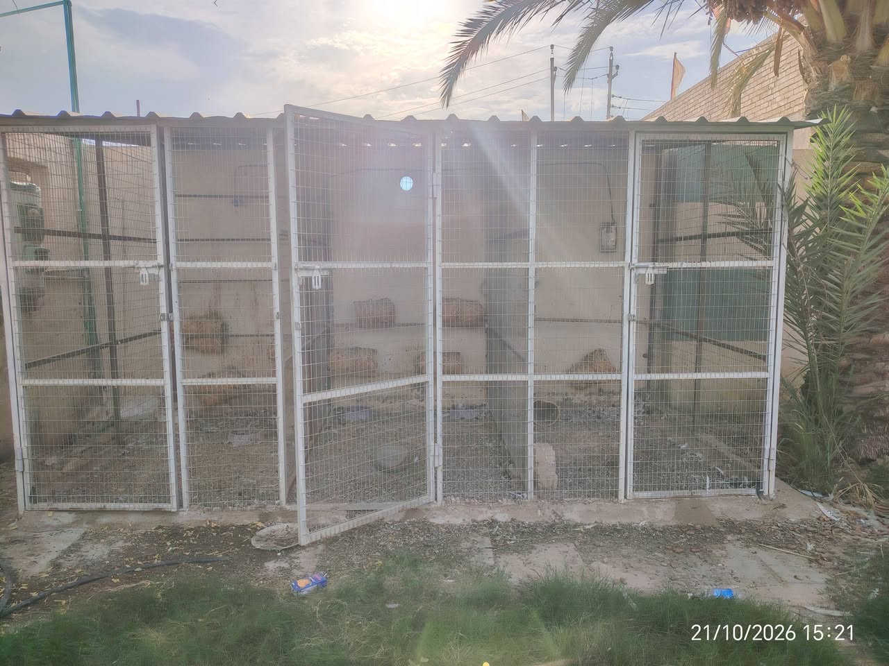 قفص • دجاج وطيور • عرض ٤م